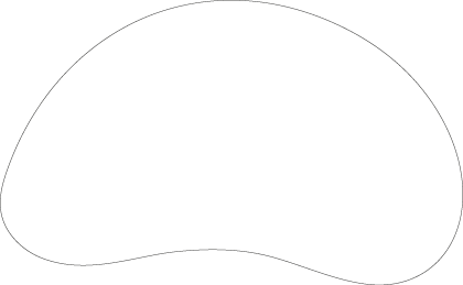 Polygon