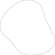 Polygon