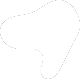 Polygon