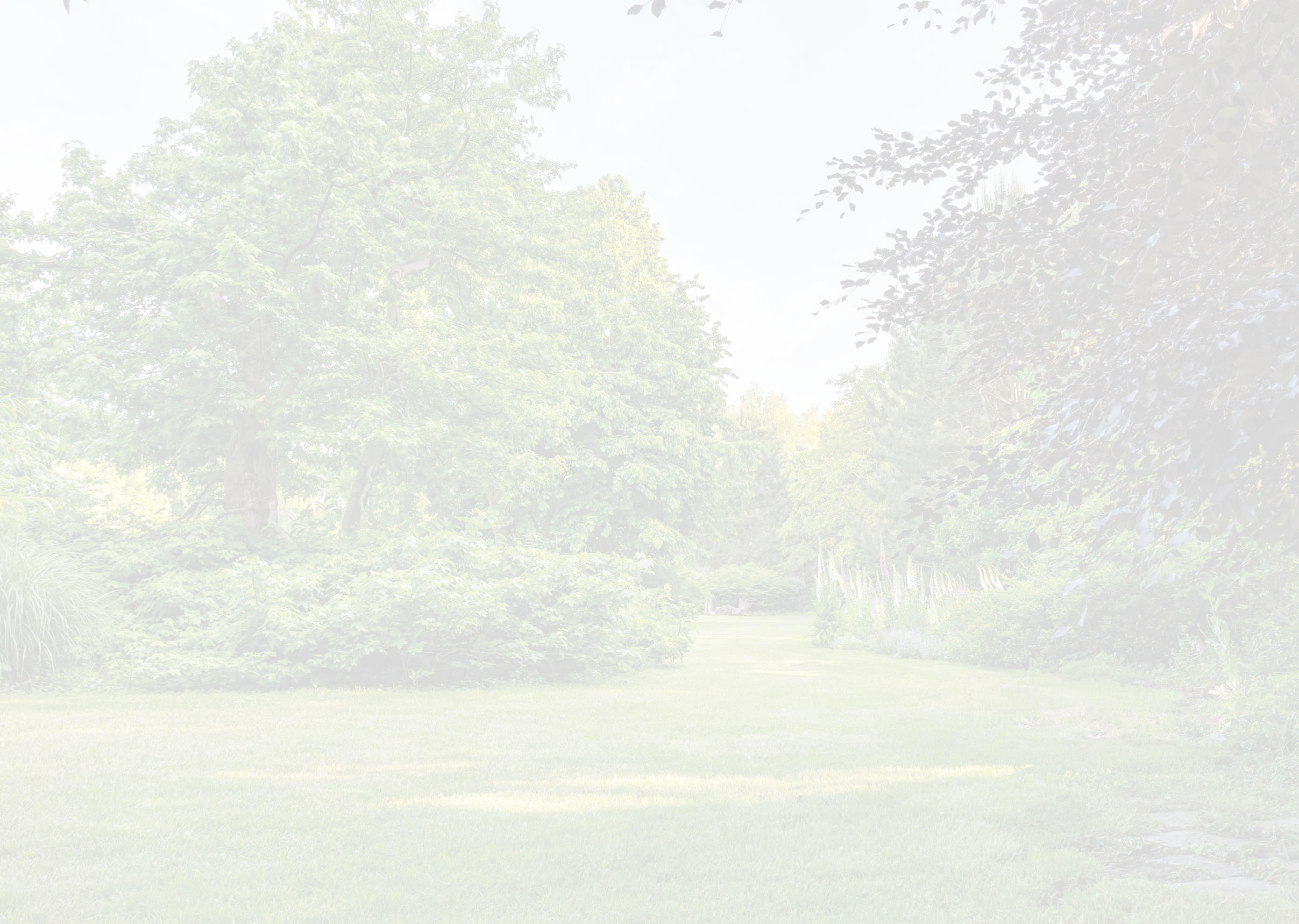 The lawn meanders between the various bushes with trees in a multitude of leaf shades in this beautifully landscaped garden with a great diversity of trees and flowering shrubs near the village of Harkstede in Groningen