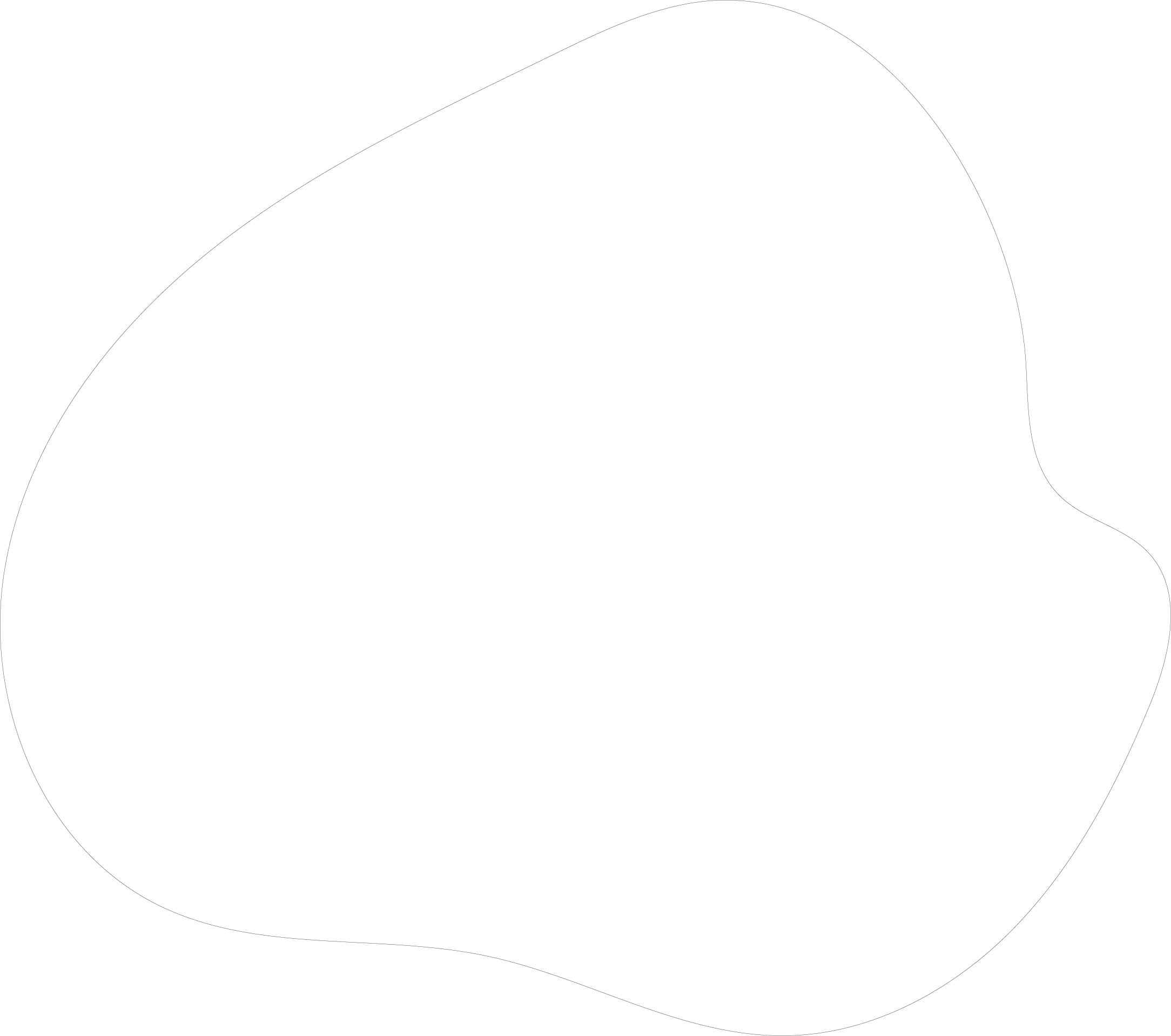 Polygon
