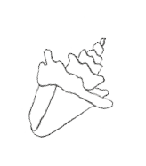 Rectangle