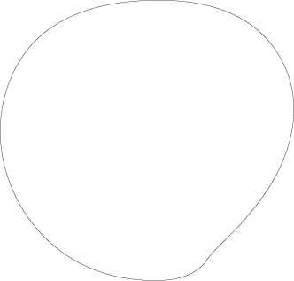Polygon