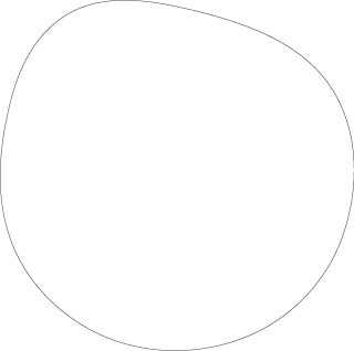 Polygon