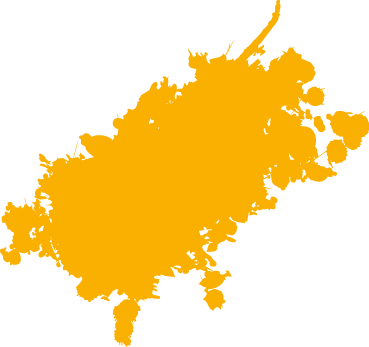 Polygon