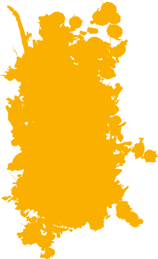 Polygon