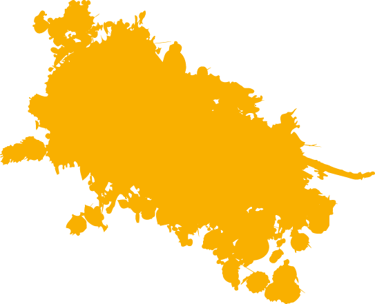 Polygon