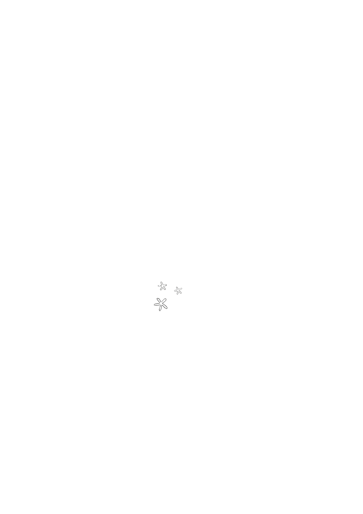 Rectangle