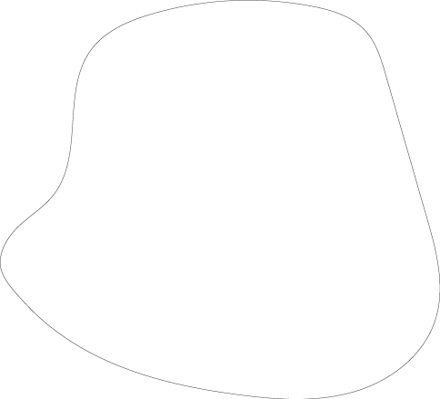 Polygon