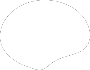 Polygon
