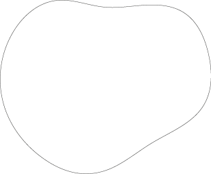 Polygon