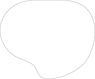 Polygon