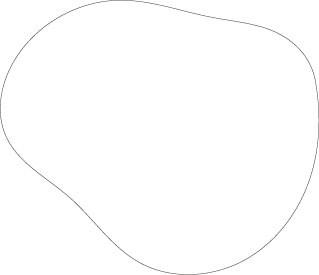 Polygon
