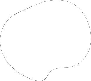 Polygon