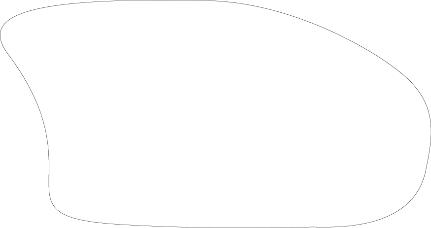 Polygon