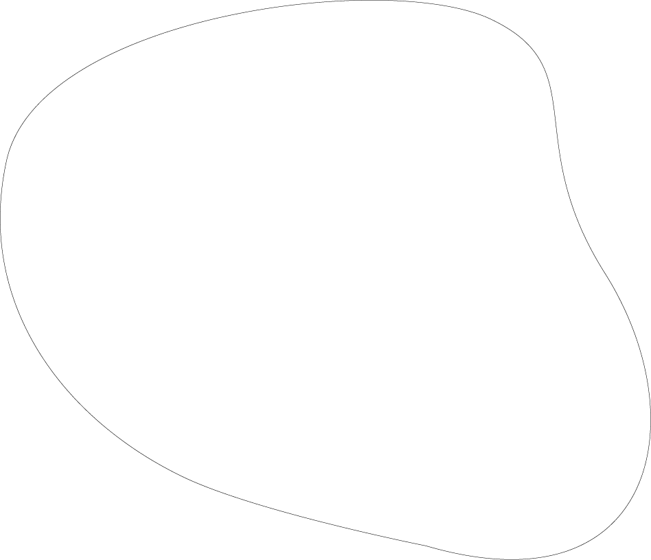 Polygon