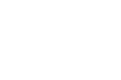 Alpakas sind im Gegensatz zu Kamelen und Lamas u erst friedliche, gutm tige und menschenfreundliche Tiere und unters...