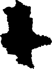 Polygon