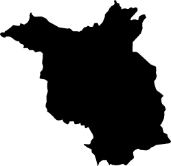 Polygon