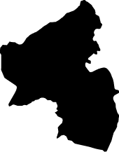 Polygon
