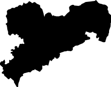 Polygon