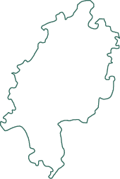 Polygon