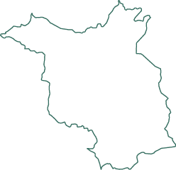 Polygon