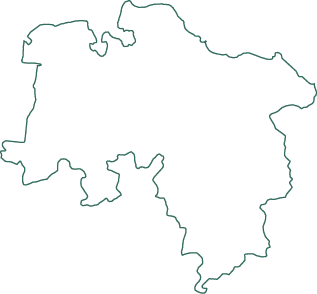 Polygon