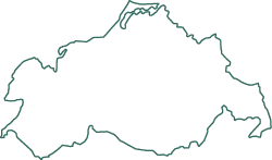 Polygon