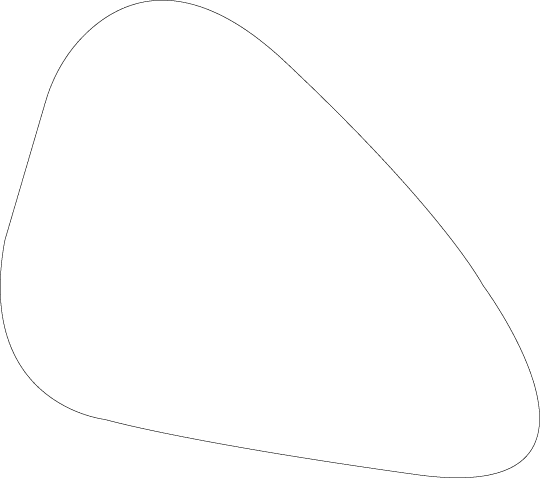 Polygon