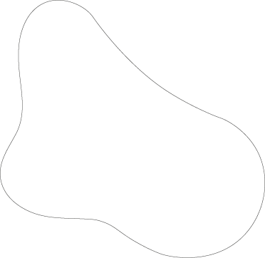 Polygon