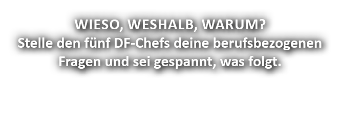 Wieso, weshalb, warum? Stelle den f nf DF-Chefs deine berufsbezogenen Fragen und sei gespannt, was folgt.