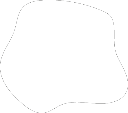 Polygon