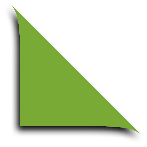 Polygon