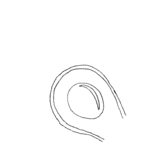 Rectangle