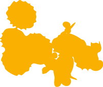 Polygon
