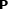 EPSText