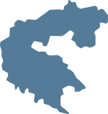 Polygon