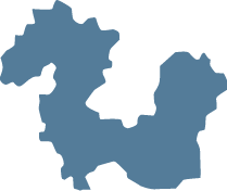 Polygon