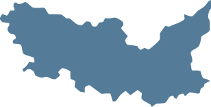 Polygon