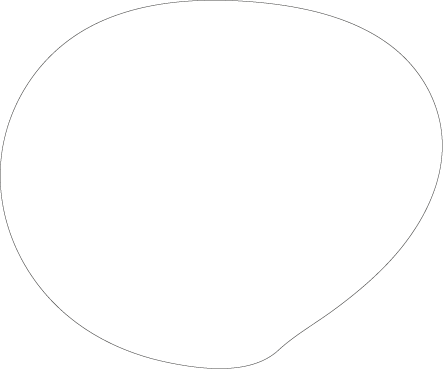 Polygon