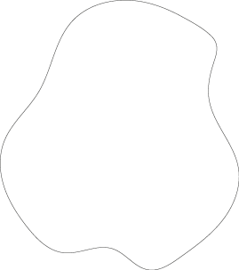 Polygon