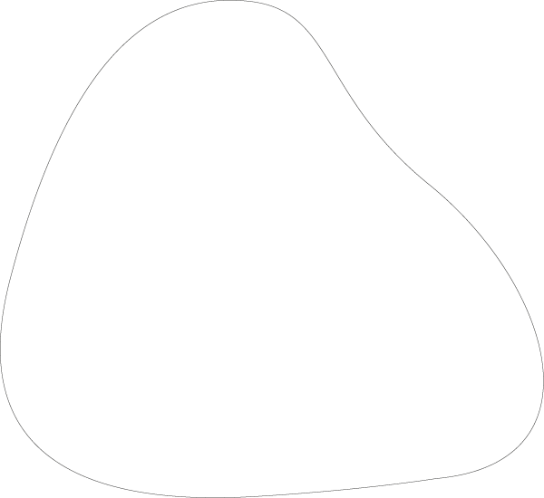 Polygon