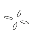 Rectangle