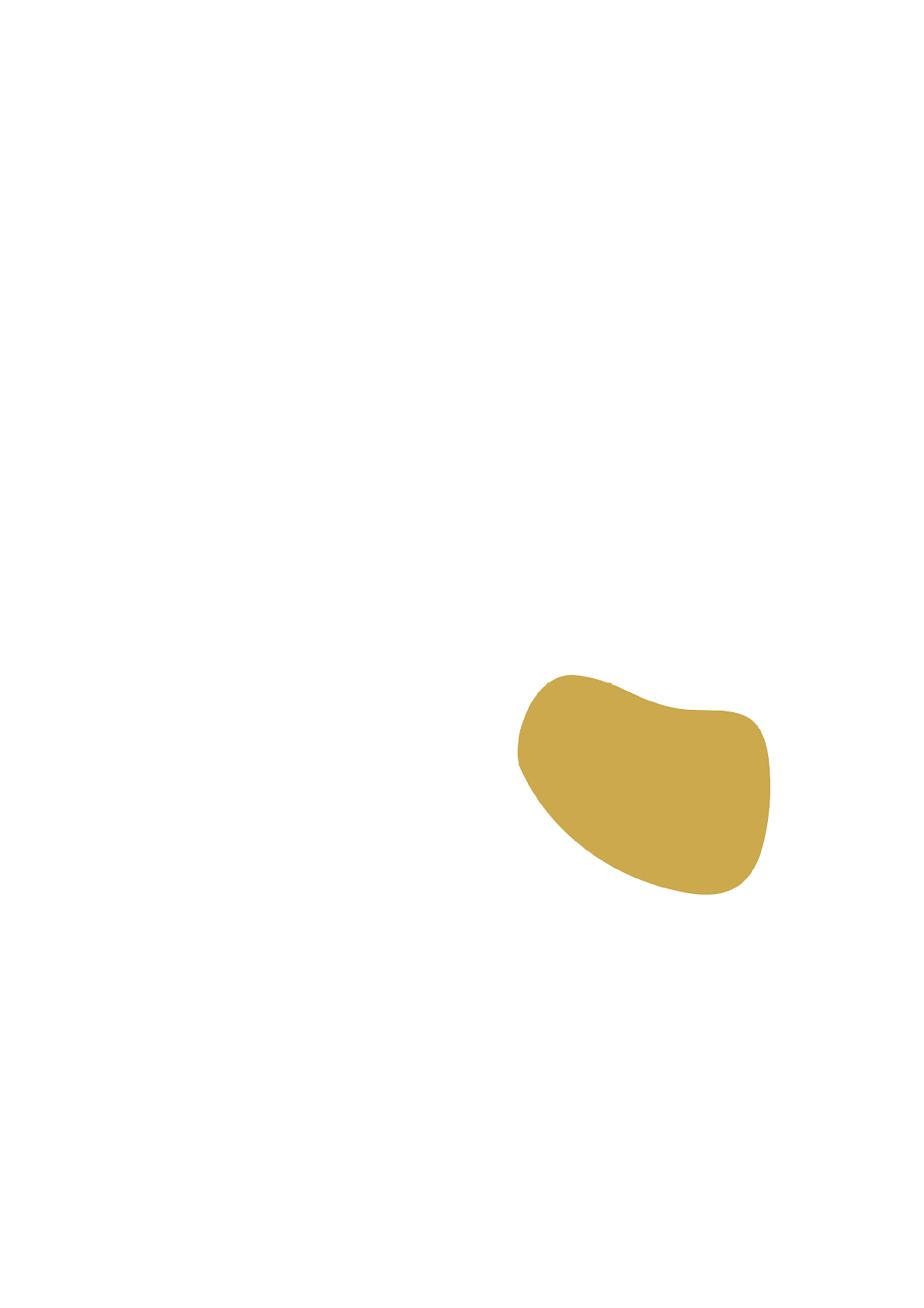 Rectangle