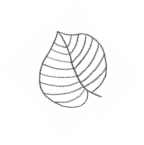 Rectangle