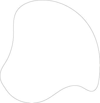 Polygon