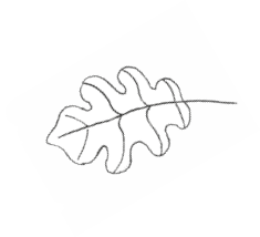 Rectangle