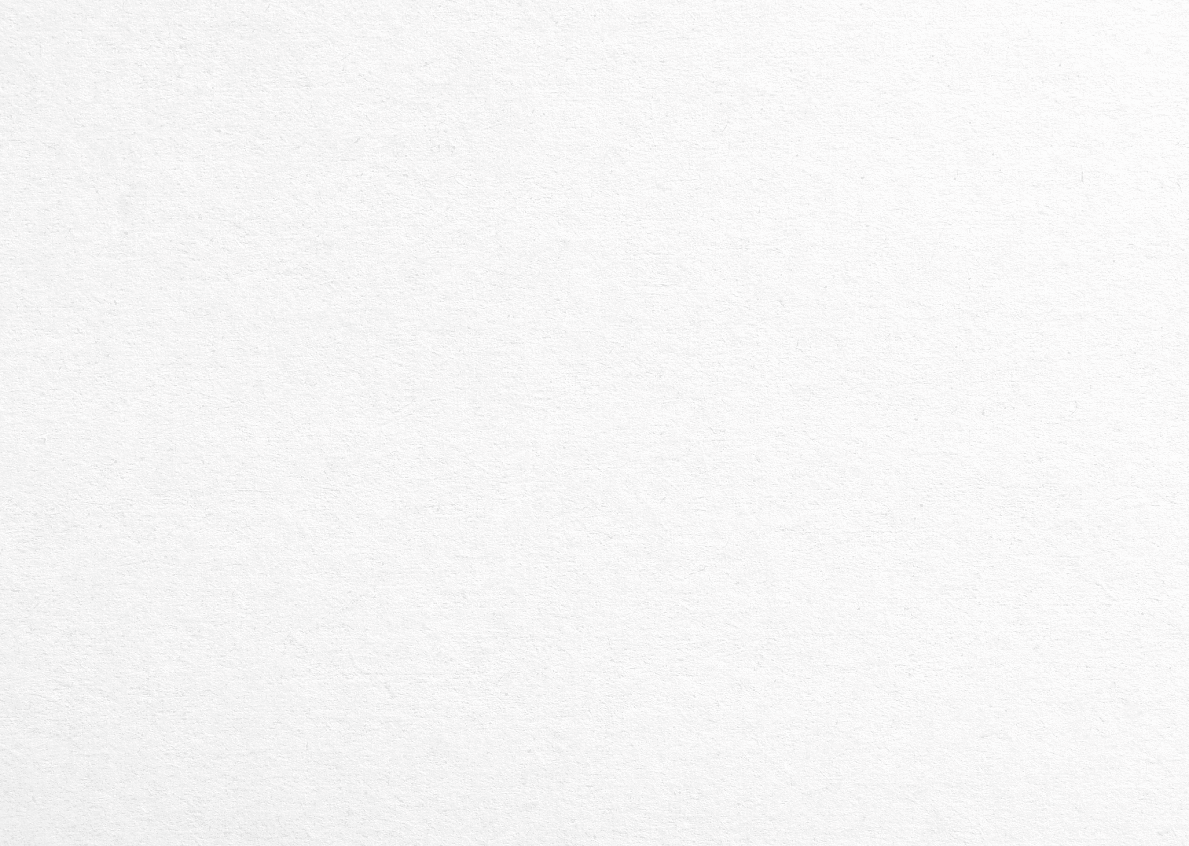 White Paper Texture
