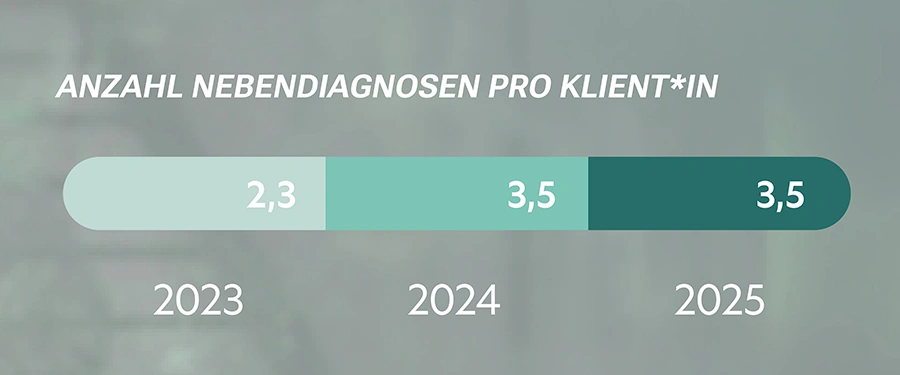 Anzahl Nebendiagnosen pro Klientin 2023 bis 2025 als Grafikleiste.